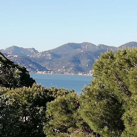 La Carat Apartment Cannes